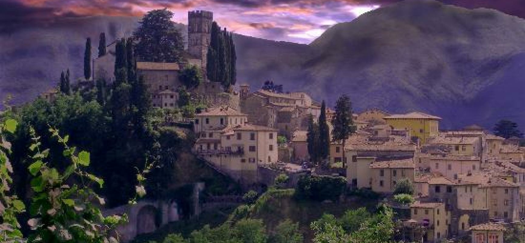 sedi---barga